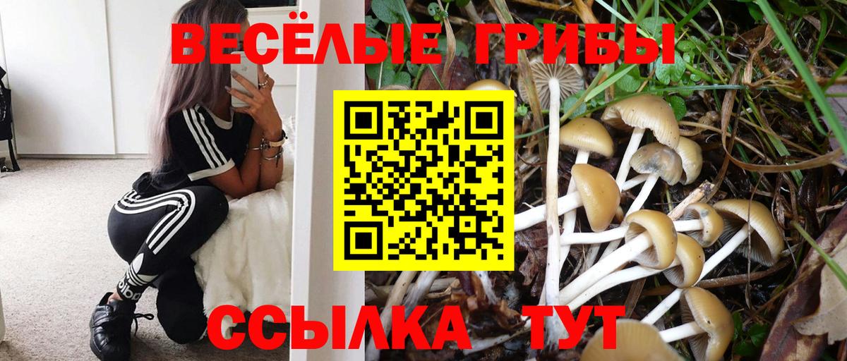 Галлюциногенные грибы мицелий Аша