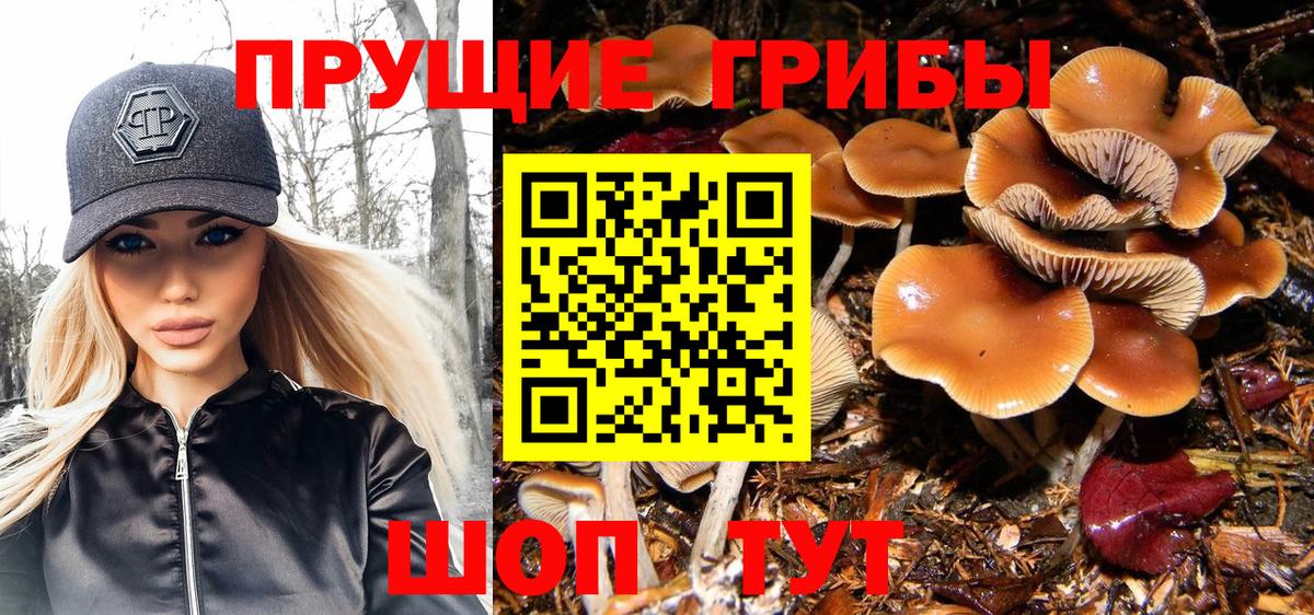Аша  Псилоцибиновые грибы Magic Shrooms  Вход с VPN 